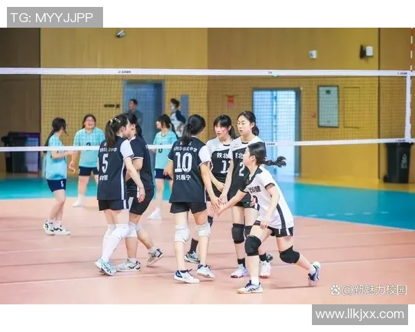 南京排球队在全国排球比赛经验排行榜中荣获第十名的荣耀时刻 南京排球队在全国排球比赛经验排行榜中荣获第十名的荣耀时刻