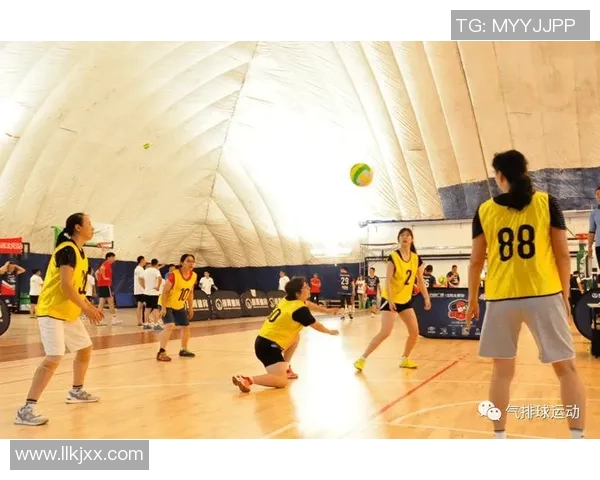 杭州排球队战术解析：从技术细节到团队协作的全面探讨