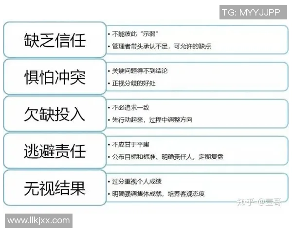 杭州篮球队比赛经验分享：从战术到团队协作的全面解析与启示